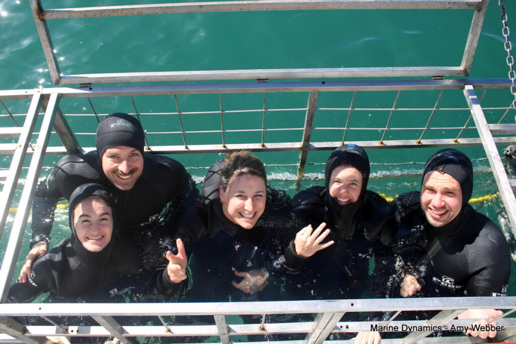 Shark cage diving, Gansbaai, South Africa