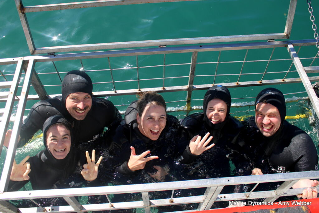 Shark cage diving, Gansbaai, South Africa