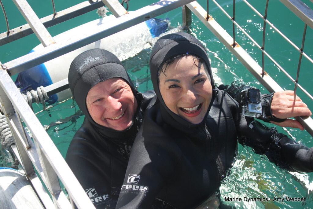 Shark cage diving, Gansbaai, South Africa