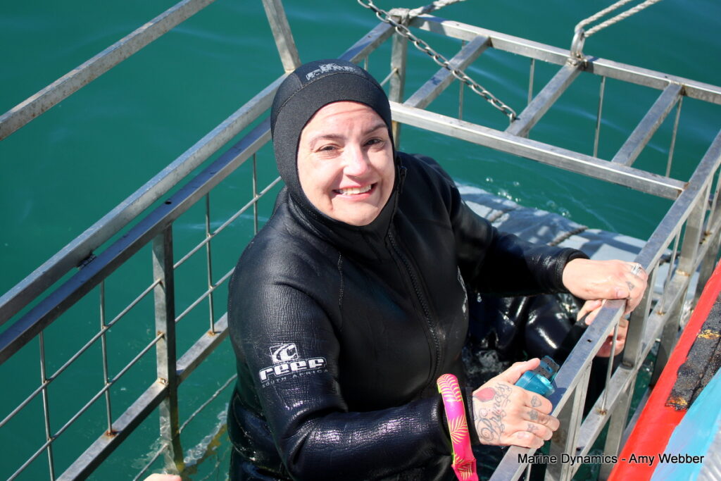 Shark cage diving, Gansbaai, South Africa