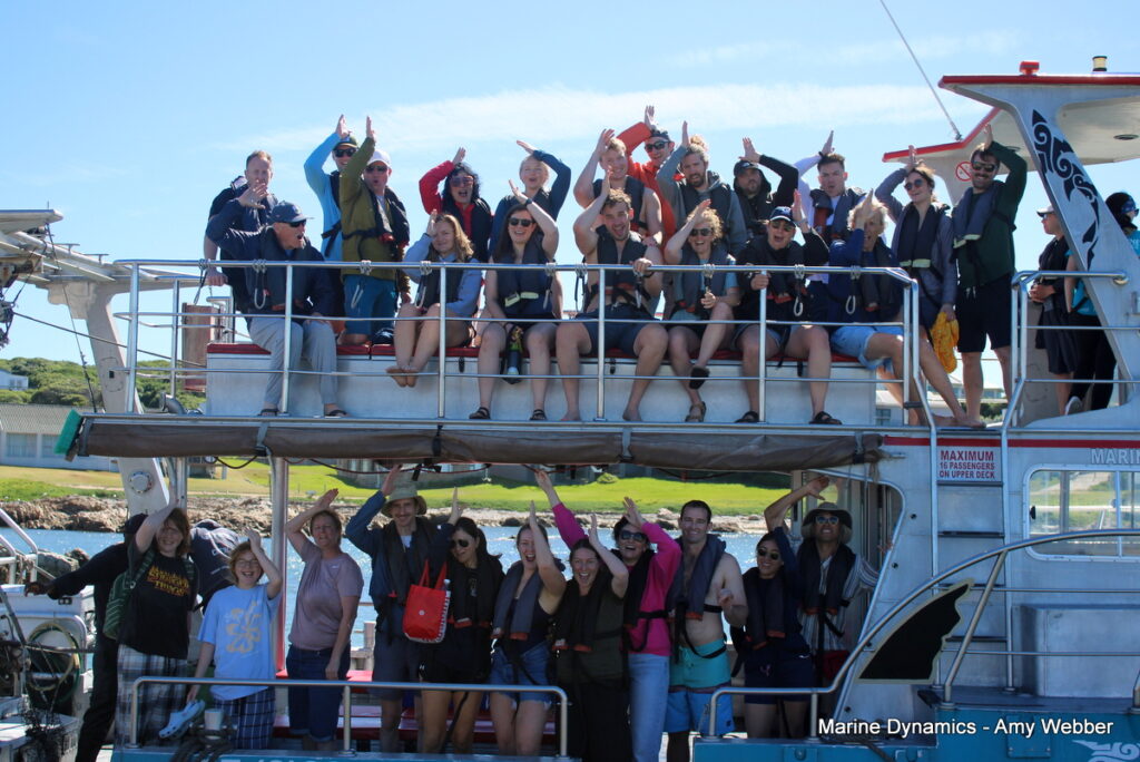 Shark cage diving, Gansbaai, South Africa