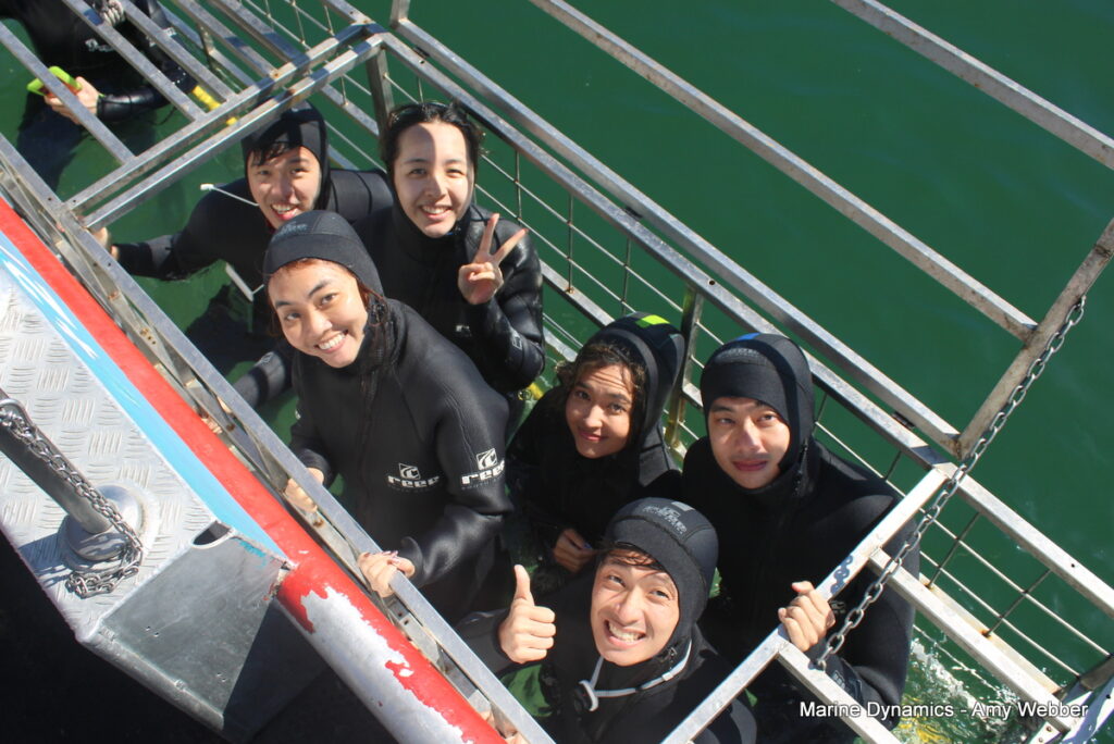 Shark cage diving, gansbaai, South Africa