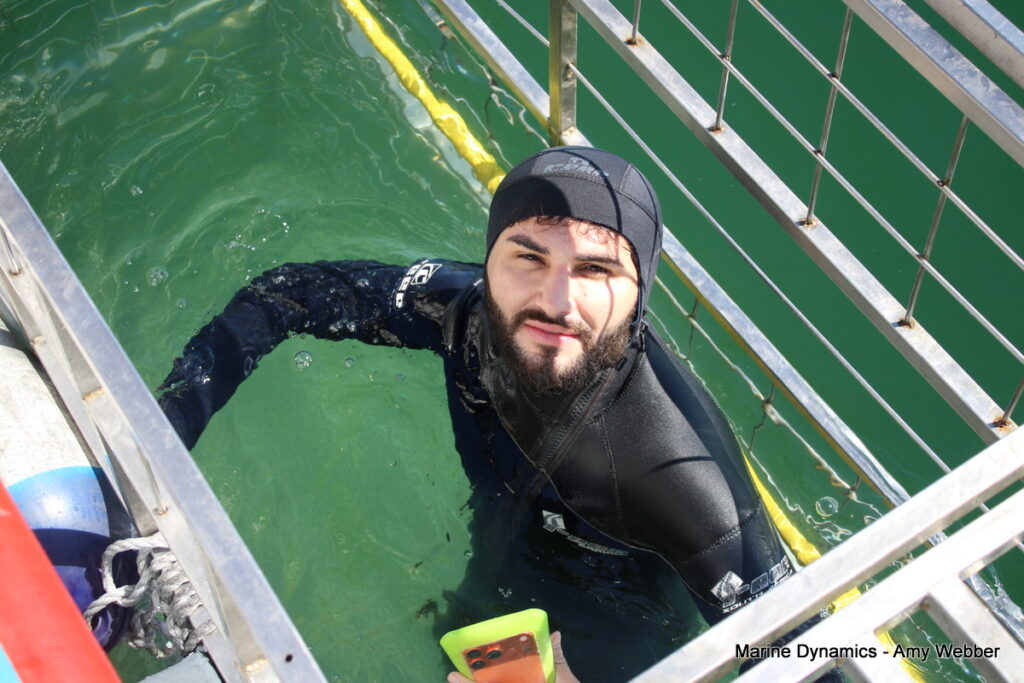 Shark cage diving, gansbaai, South Africa