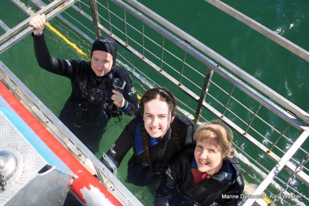 Shark cage diving, gansbaai, South Africa