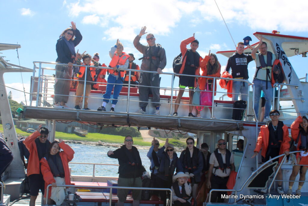 Shark cage diving, gansbaai, South Africa