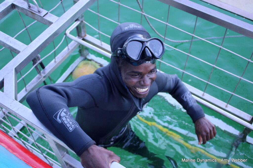 Shark cage diving, Gansbaai, South Africa