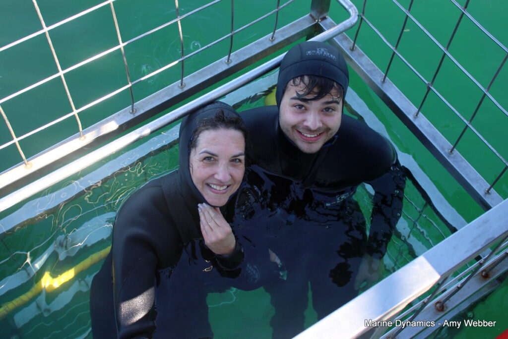 Shark cage diving, Gansbaai, South Africa