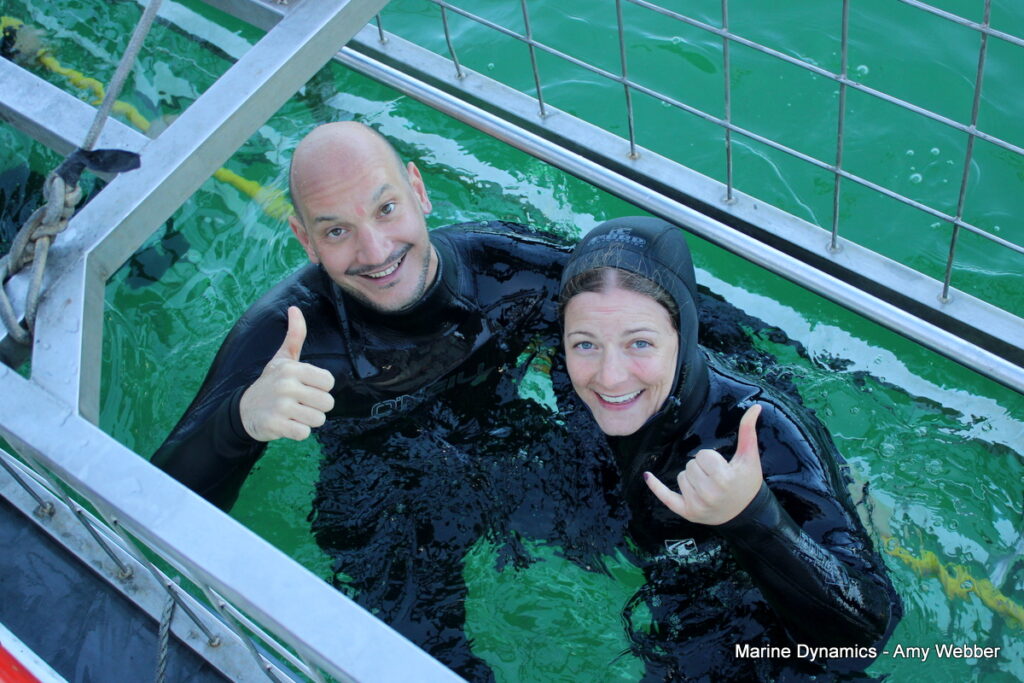 Shark cage diving, Gansbaai, South Africa