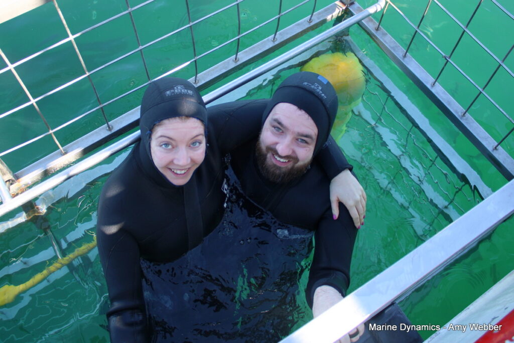 Shark cage diving, Gansbaai, South Africa