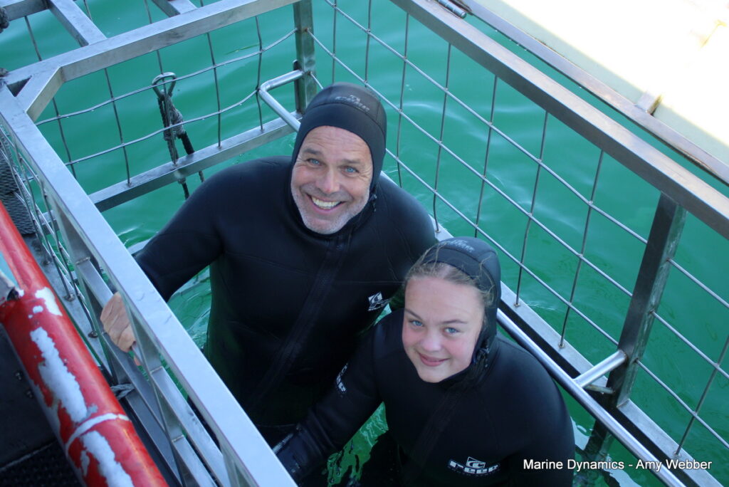 Shark cage diving, Gansbaai, South Africa
