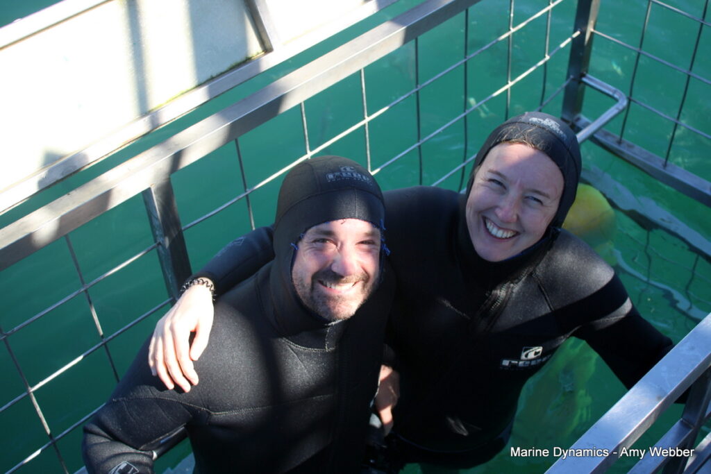 Shark cage diving, Gansbaai, South Africa