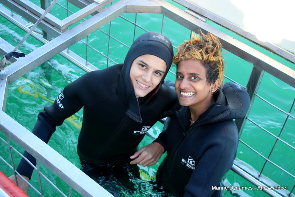 Shark cage diving, Gansbaai, South Africa