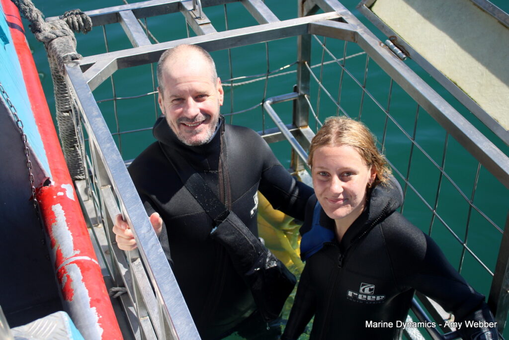 Shark cage diving, Gansbaai, South africa