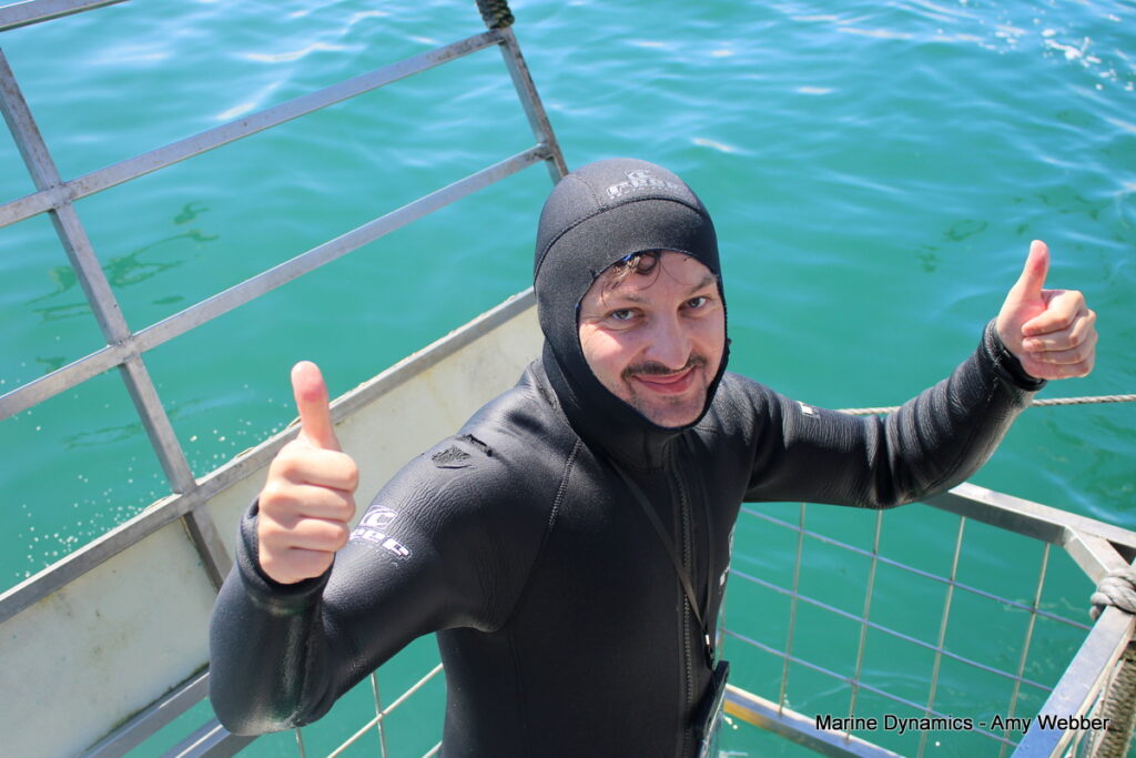 Shark cage diving, Gansbaai, South africa
