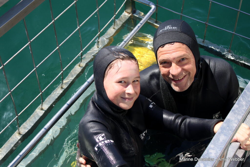 Shark cage diving, Gansbaai, South africa