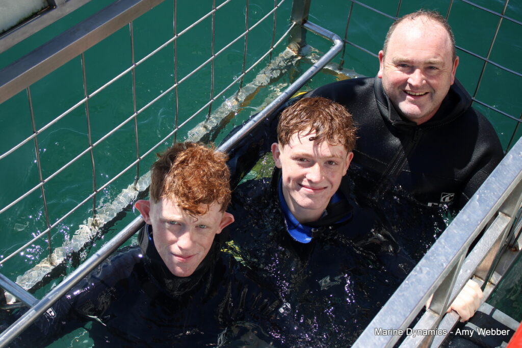 Shark cage diving, Gansbaai, South africa