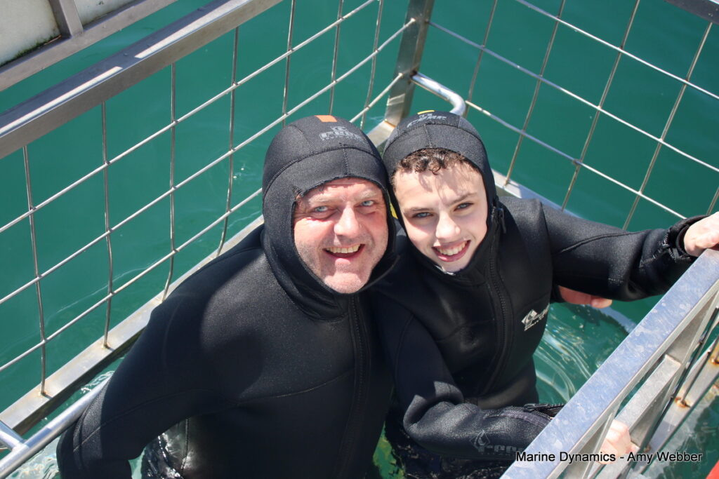 Shark cage diving, Gansbaai, South africa