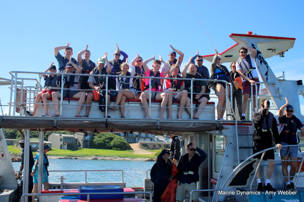 Shark cage diving, Gansbaai, South africa