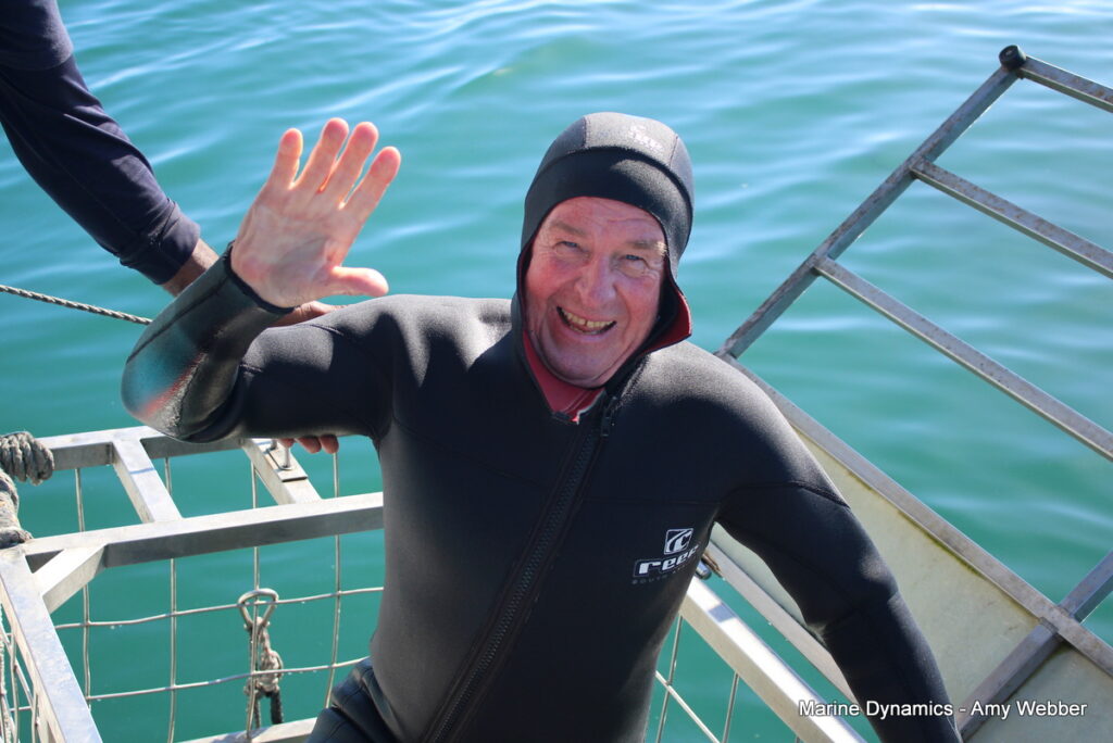 Shark cage diving, Gansbaai, South africa