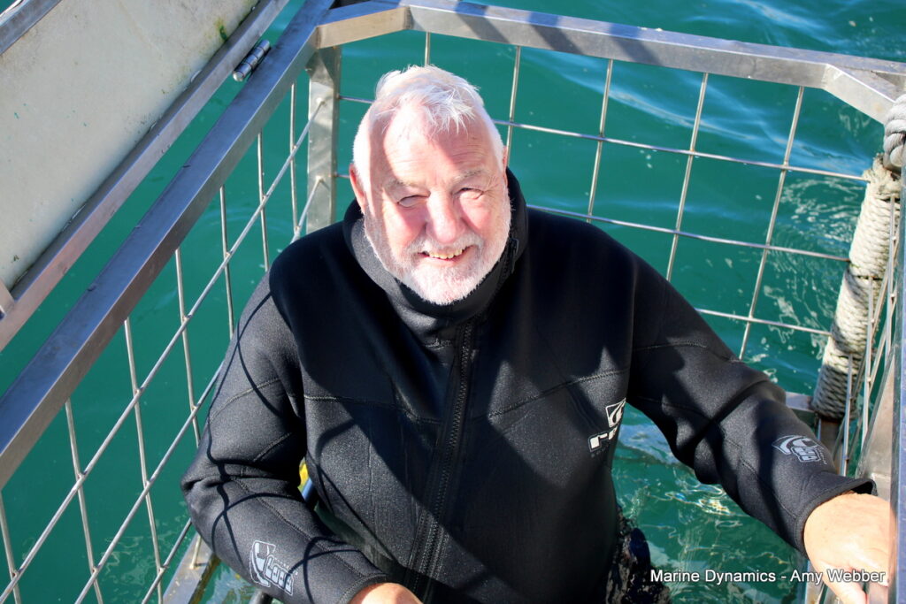 Shark cage diving, Gansbaai, South africa