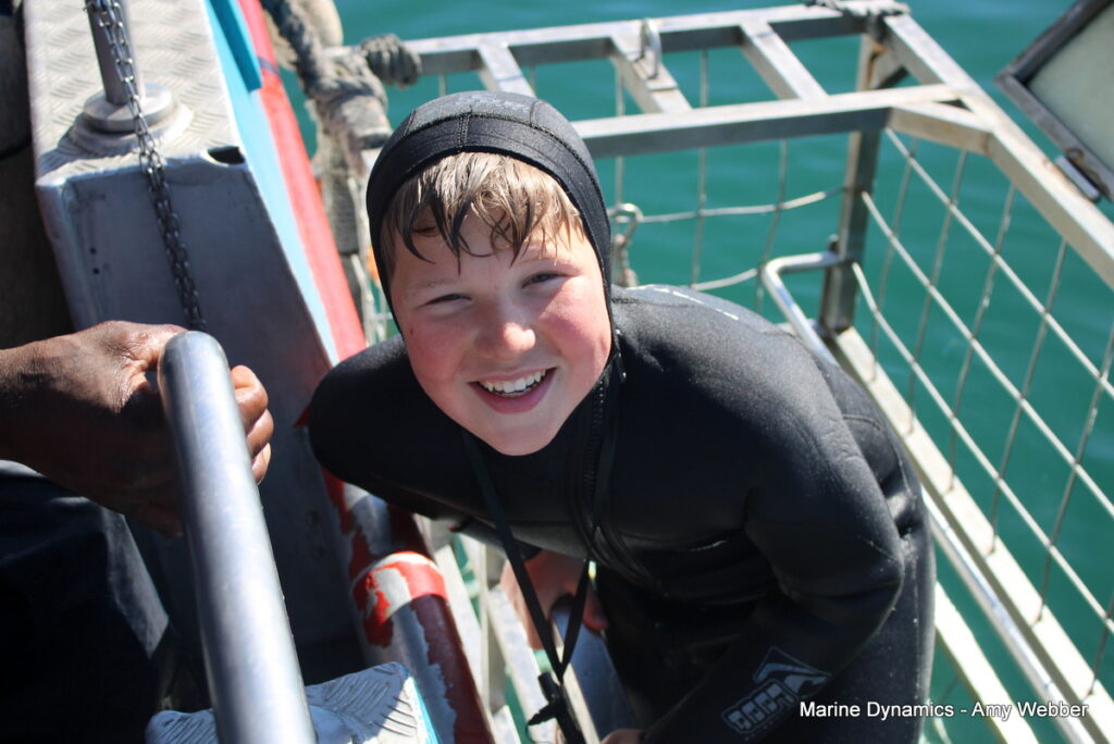 Shark cage diving, Gansbaai, South africa
