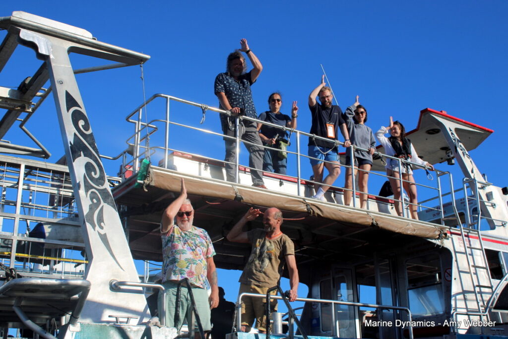 Shark cage diving, Gansbaai, South africa
