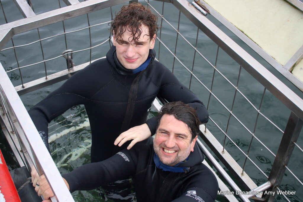 Shark cage diving, Gansbaai, South Africa