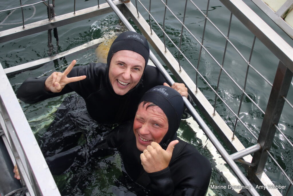 Shark cage diving, Gansbaai, South Africa