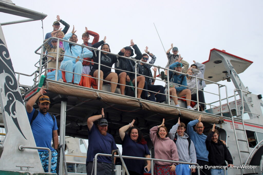 Shark cage diving, Gansbaai, South Africa