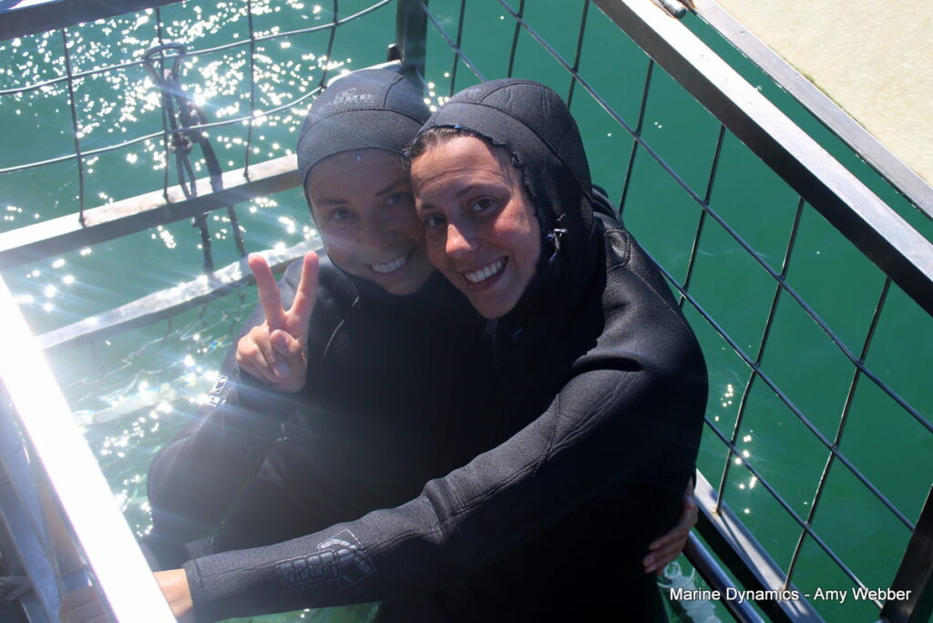 Shark cage diving, Gansbaai, South Africa