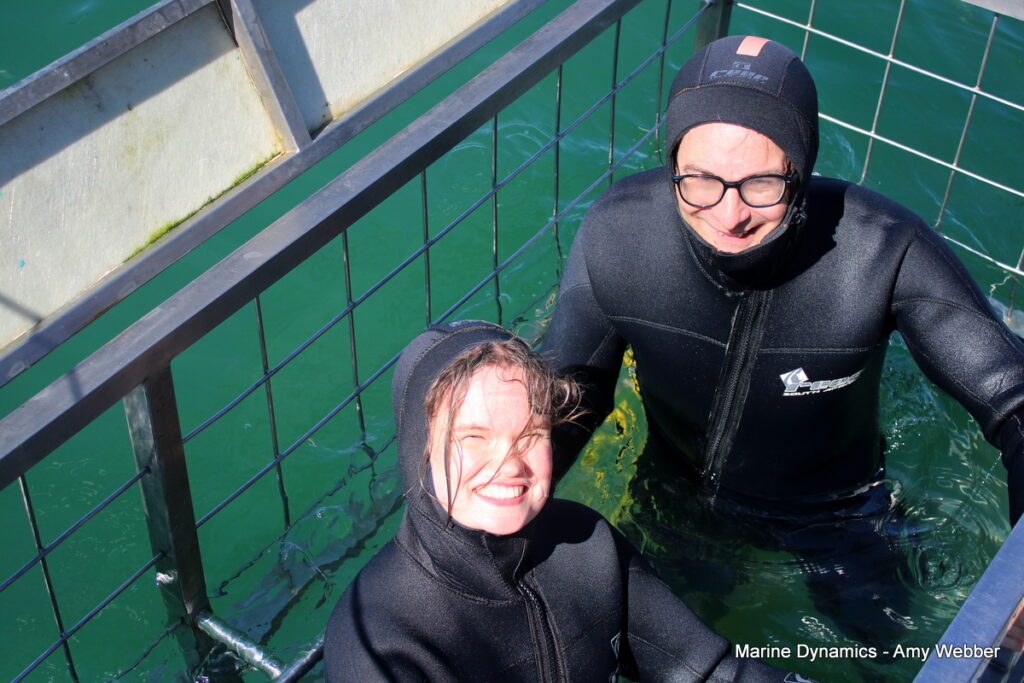 Shark cage diving, Gansbaai, South Africa