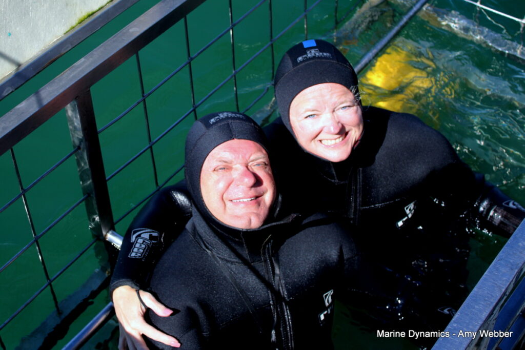 Shark cage diving, Gansbaai, South Africa