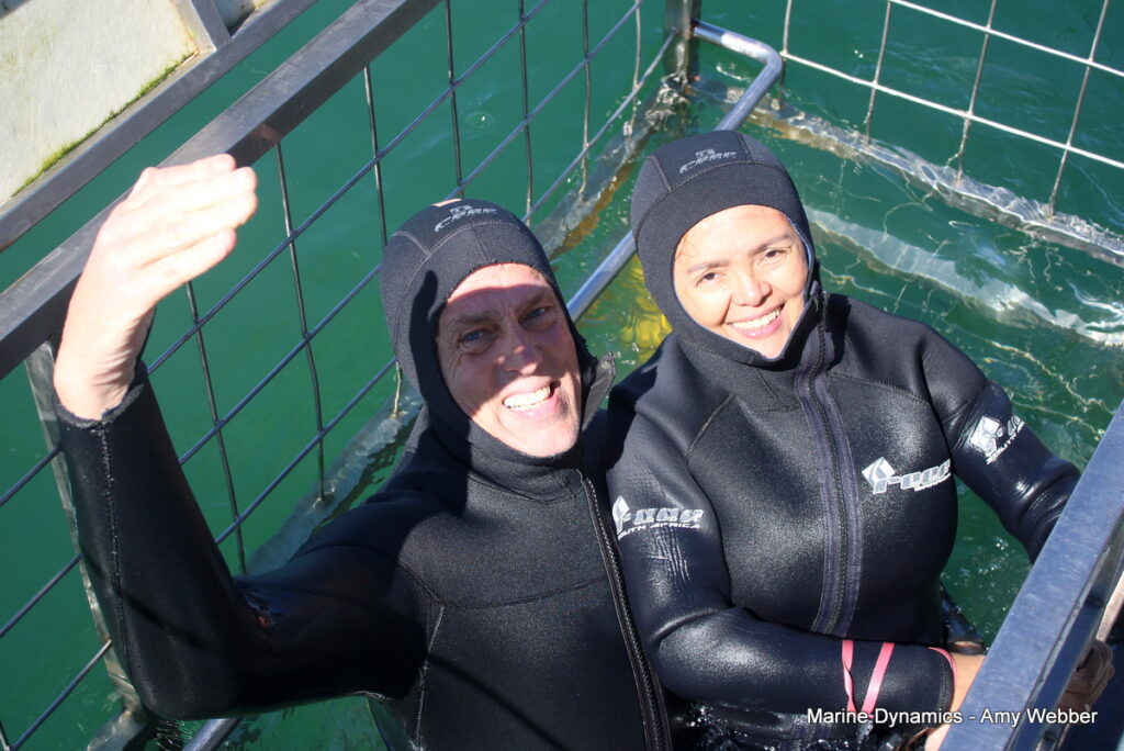 Shark cage diving, Gansbaai, South Africa