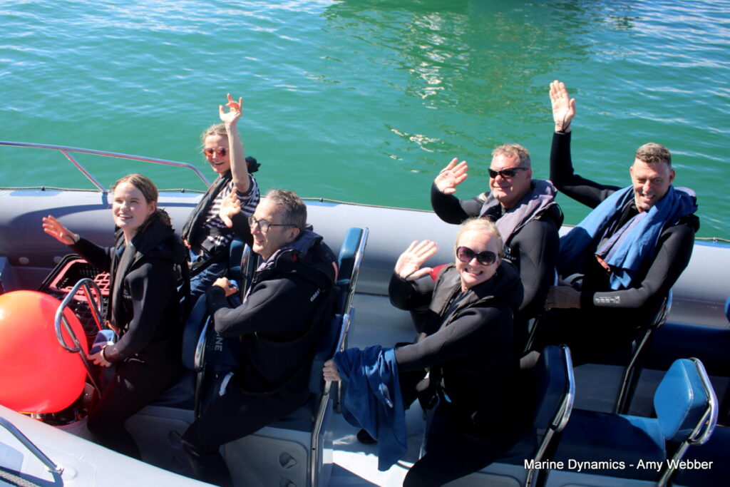 Shark cage diving, Gansbaai, South Africa