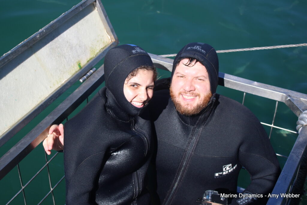 Shark cage diving, Gansbaai, South Africa
