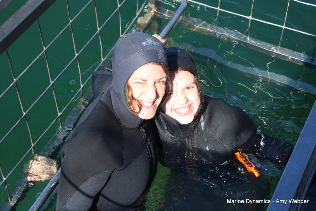 Shark cage diving, Gansbaai, South Africa