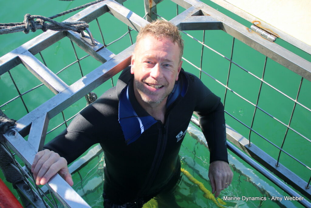 Shark cage diving, Gansbaai, South Africa
