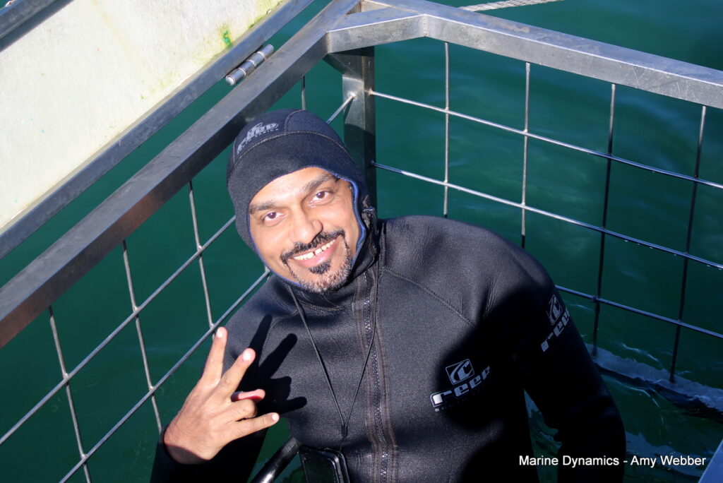 Shark cage diving, Gansbaai, South Africa