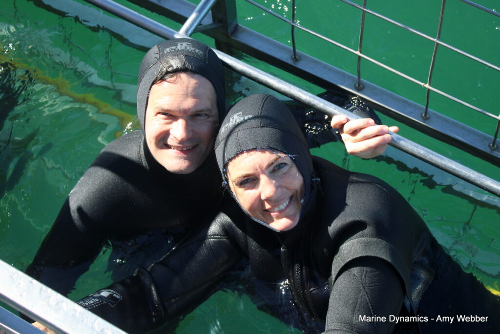 Shark cage diving, Gansbaai, South Africa