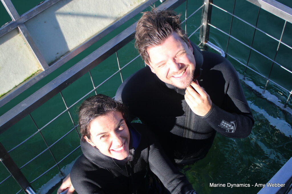 Shark cage diving, Gansbaai, South Africa
