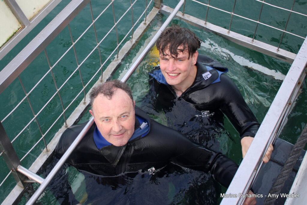 Shark cage diving, Gansbaai, South Africa