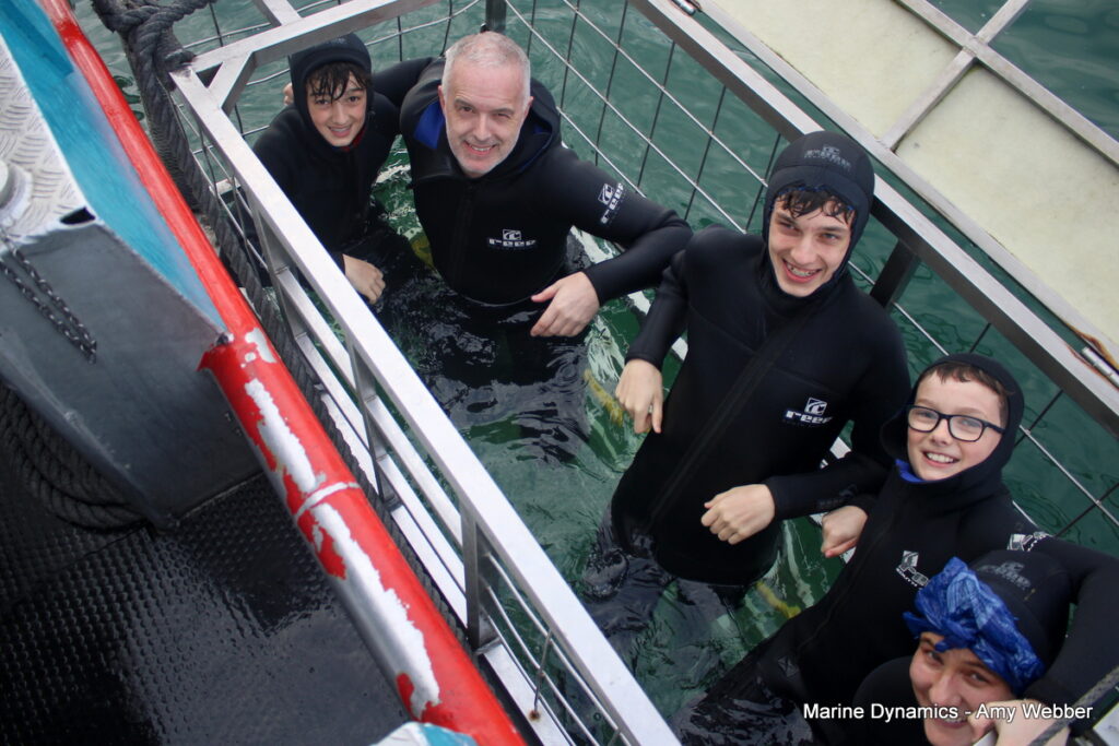 Shark cage diving, Gansbaai, South Africa