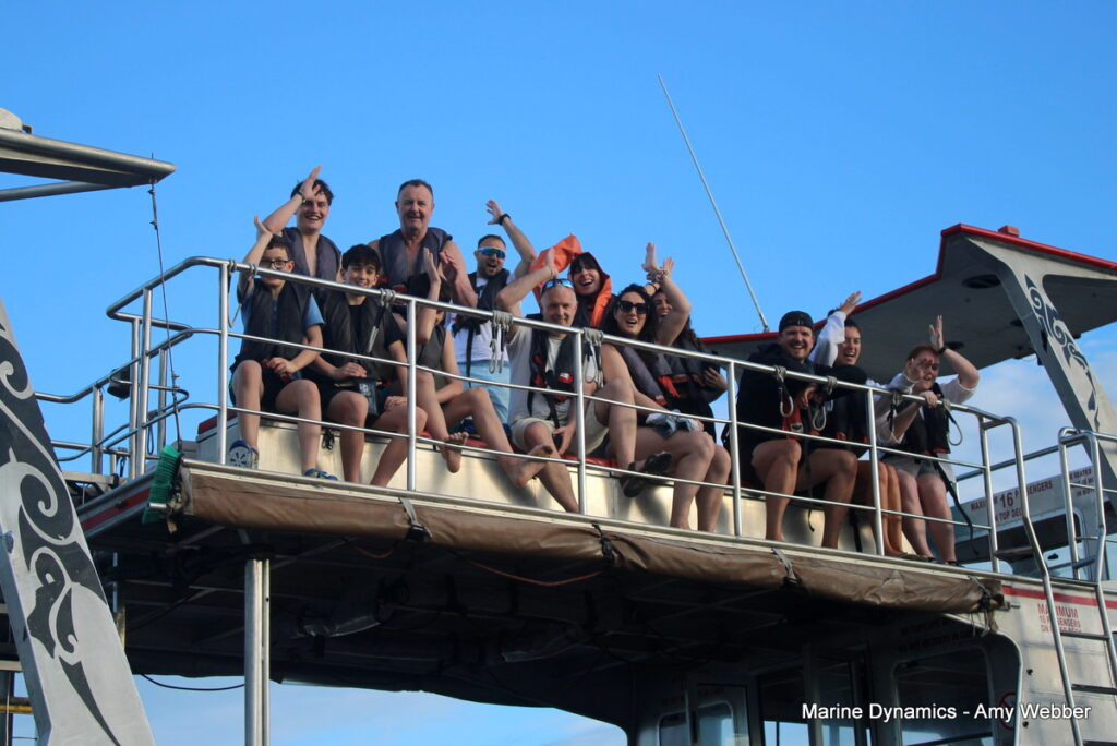 Shark cage diving, Gansbaai, South Africa