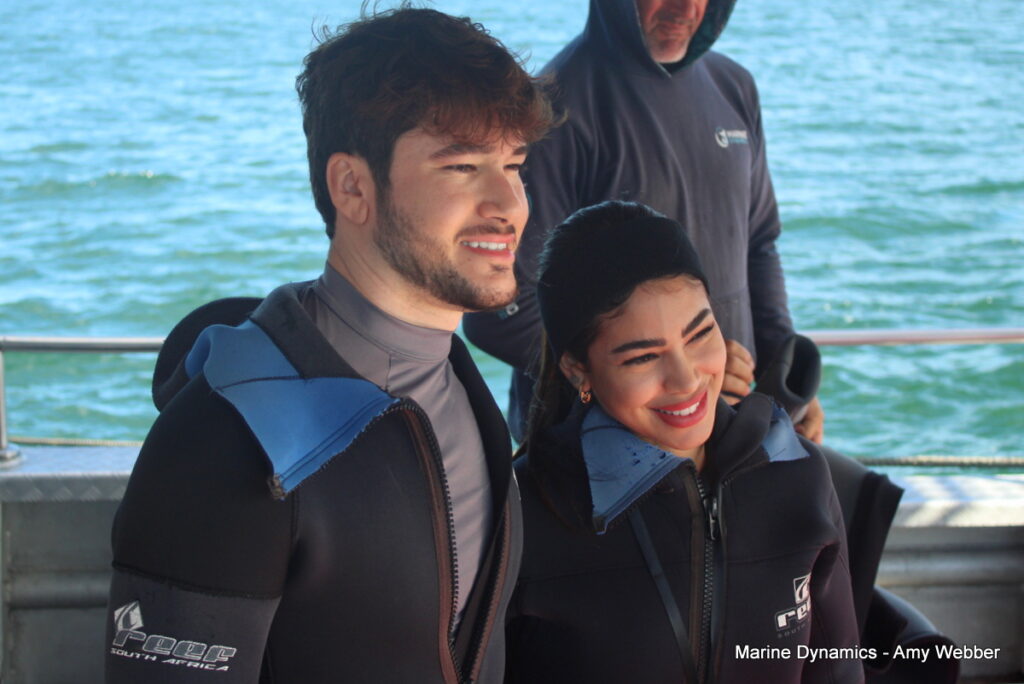 Shark cage diving, Gansbaai, South Africa