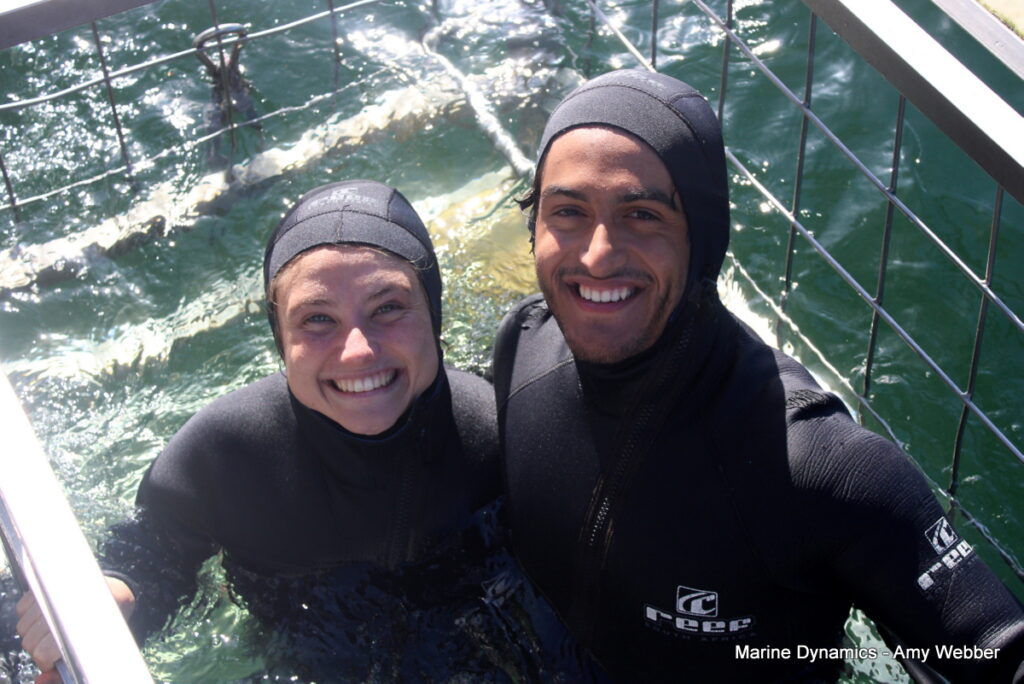 Shark cage diving, Gansbaai, South Africa