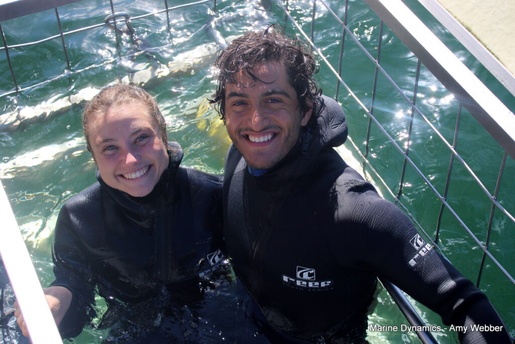 Shark cage diving, Gansbaai, South Africa