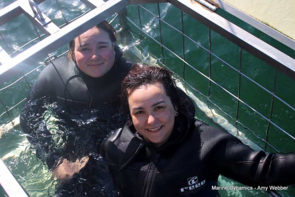 Shark cage diving, Gansbaai, South Africa
