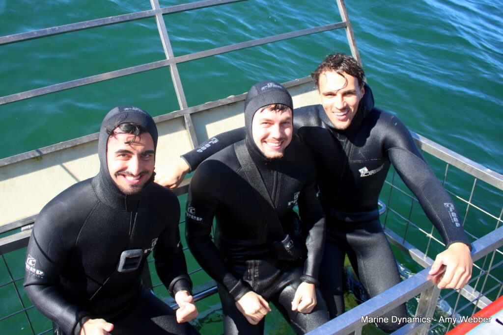Shark cage diving, Gansbaai, South Africa