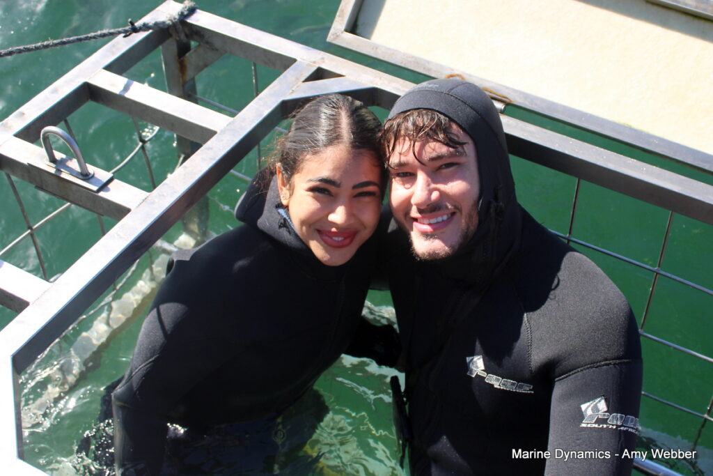 Shark cage diving, Gansbaai, South Africa