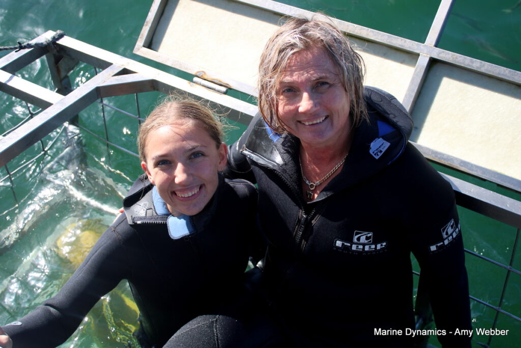 Shark cage diving, Gansbaai, South Africa